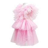 Claris: The Chicest Mouse In Paris™ Fashion Tulle Dress in Pink - Pink Poppy Australia