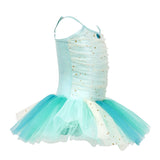 Disney Princess Jasmine Sparkling Tutu Dress