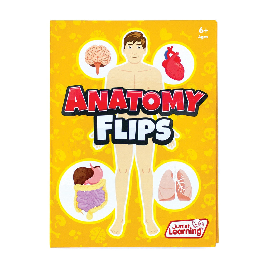 Junior Learning JL647 Anatomy Flips