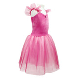 Princess Rose Velvet Dress with Ombre Tulle