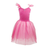 Princess Rose Velvet Dress with Ombre Tulle