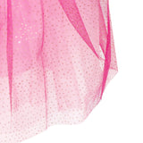 Princess Rose Velvet Dress with Ombre Tulle