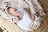 Organic Cotton Blanket by Little Turtle Baby